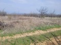 Продава ПАРЦЕЛ, област Пловдив, с. Брестник • 62000 € • 70106063 — Holmes.bg