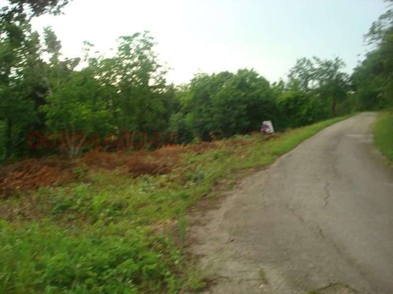 ������� ������ | Imot.bg � ����������� 3