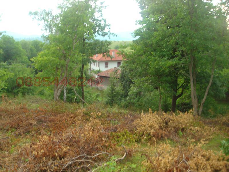 ������� ������ | Imot.bg � ����������� 1