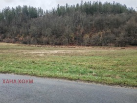 ����� ������� ������,�. �������, ������ �����