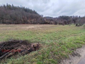 ������� ������ | Imot.bg � ����� ������ 9