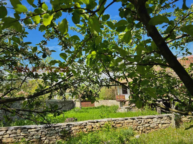 Na prodej  Vila oblast Loveč , Lukovit , 75 m2 | 83753599 - obraz [3]
