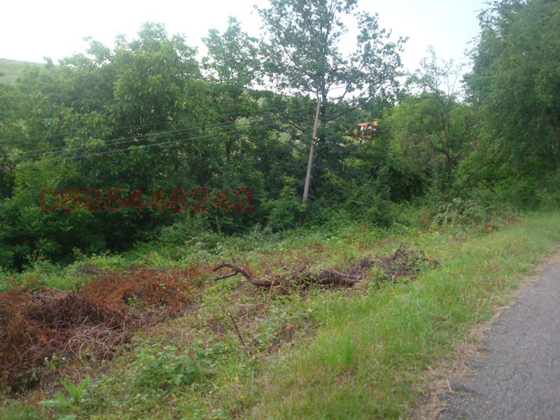Продава ПАРЦЕЛ, гр. Елена, област Велико Търново, снимка 2 - Парцели - 52783983