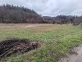 Продава  Парцел област Ловеч , с. Велчево , 4173 кв.м | 86536526 - изображение [9]