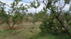 Парцел град Варна, Галата