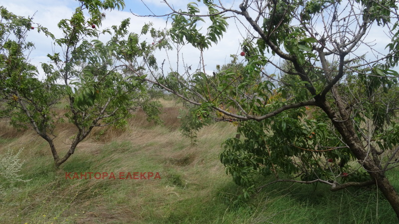 Προς πώληση  Οικόπεδο Βαρνα , Γαλατα , 1066 τ.μ | 81595642