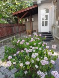 Продава КЪЩА, град Русе, Център • 150000 € • 10023000 — Holmes.bg