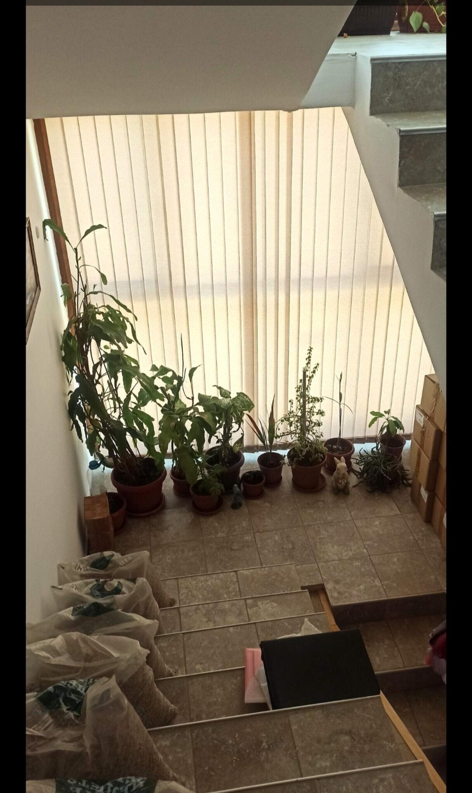 ������� ���� | Imot.bg � ����������� 5