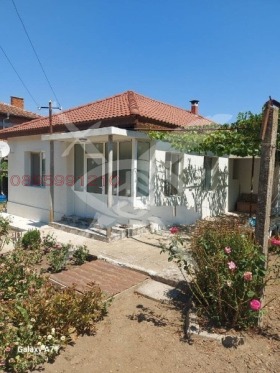 ������ ������� ����