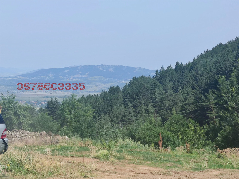 Продава ПАРЦЕЛ, с. Кладница, област Перник, снимка 2 - Парцели - 54090755