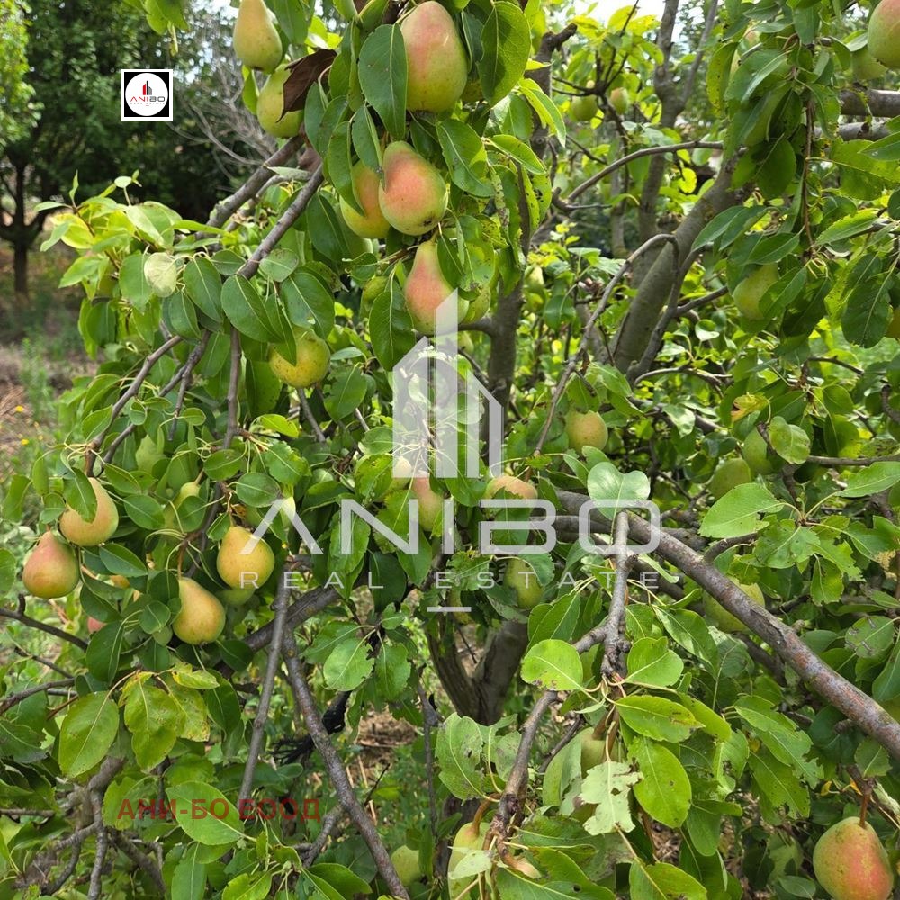 ������� ���� | Imot.bg � ����������� 5