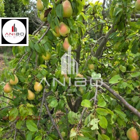 ������� ���� | Imot.bg � ����� ������ 5