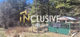 ����� ������� ������,���� �����, �. ���������