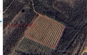 ������ ������� ���������� ����