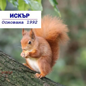 4-СТАЕН, 162 m2