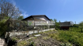 ������ ������� ����