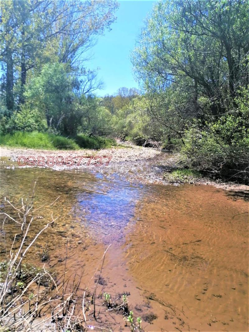 Продава КЪЩА, с. Дяково, област Кюстендил, снимка 13 - Къщи - 52782621