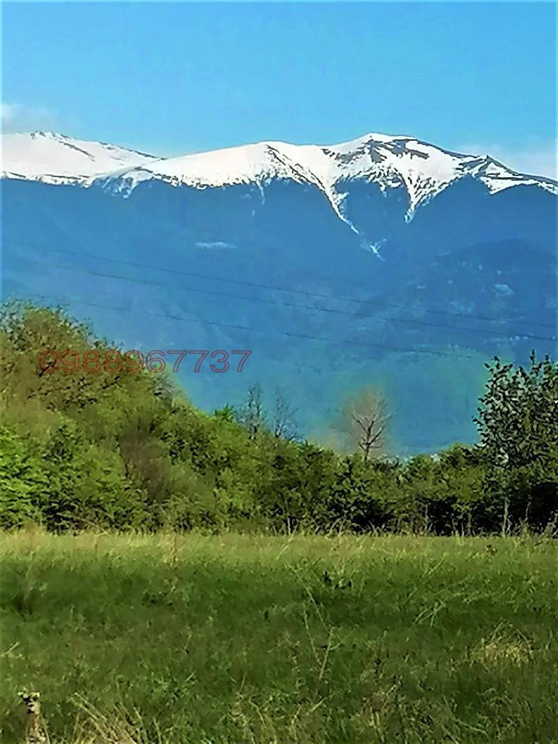 Продава КЪЩА, с. Дяково, област Кюстендил, снимка 14 - Къщи - 52782621