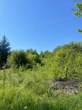 Продава ПАРЦЕЛ, град Хасково, в.з. Хасково • 40000 лв. • 48410484 — Holmes.bg