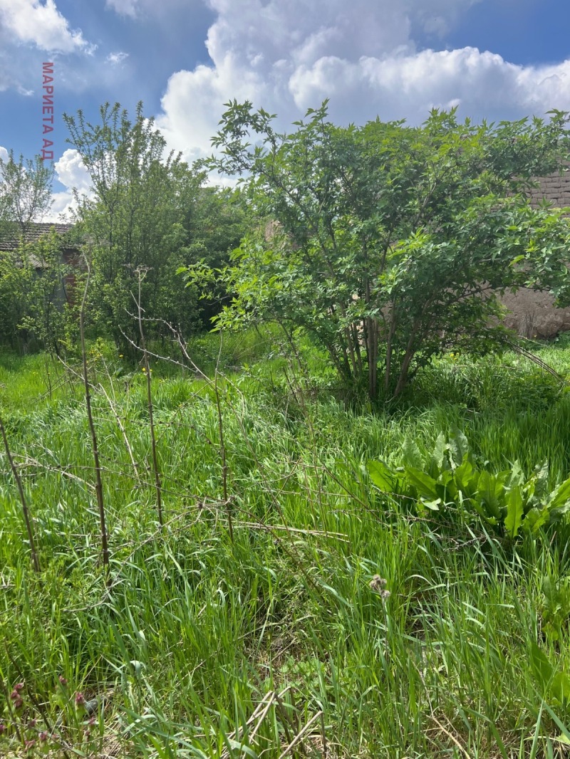 Satılık  Komplo bölge Sofia , Doganovo , 1570 metrekare | 21431631 - görüntü [3]