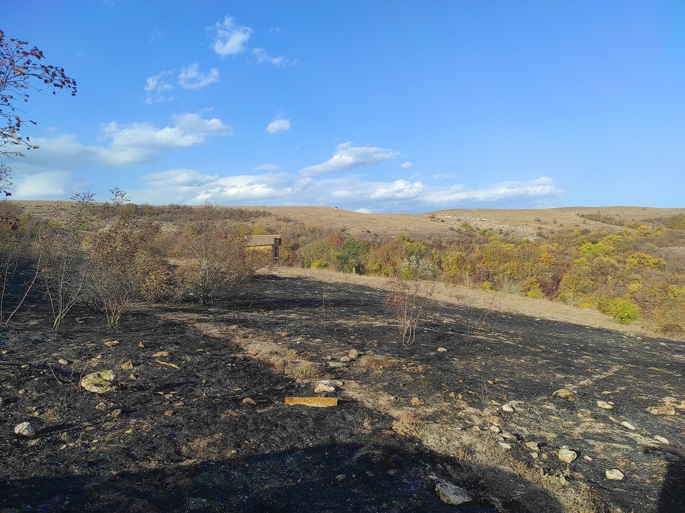 ������� ������ | Imot.bg � ����������� 2