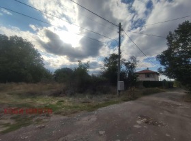 ����� ������� ������,���� �������, ��������