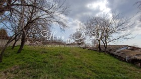 ����� ������� ������,�. �����, ������ �����