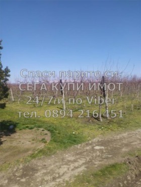 ������� ���������� ���� | Imot.bg � ����� ������ 6