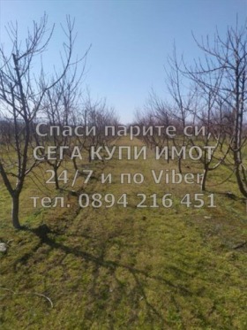 ������� ���������� ���� | Imot.bg � ����� ������ 8