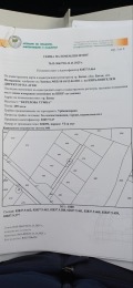 Продава  Парцел област Пазарджик , м-т Цигов чарк , 700 кв.м | 57423754 - изображение [11]
