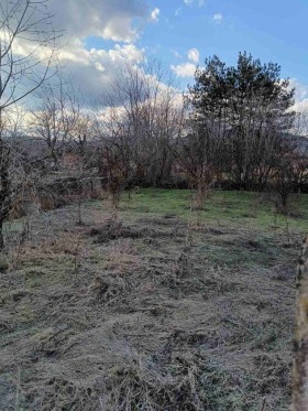 ������� ������ | Imot.bg � ����� ������ 3