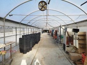 ������� ���������� ���� | Imot.bg � ����� ������ 8