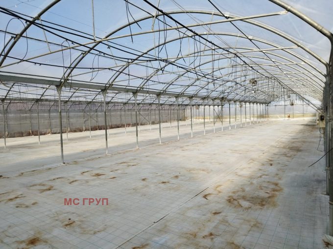 Продава ЗЕМЕДЕЛСКА ЗЕМЯ, гр. Сандански, област Благоевград, снимка 6 - Земеделска земя - 53159522