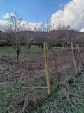 Продава ПАРЦЕЛ, с. Хлевене, област Ловеч, снимка 1