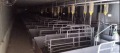 Продава БИЗНЕС ИМОТ, с. Могила, област Стара Загора, снимка 5