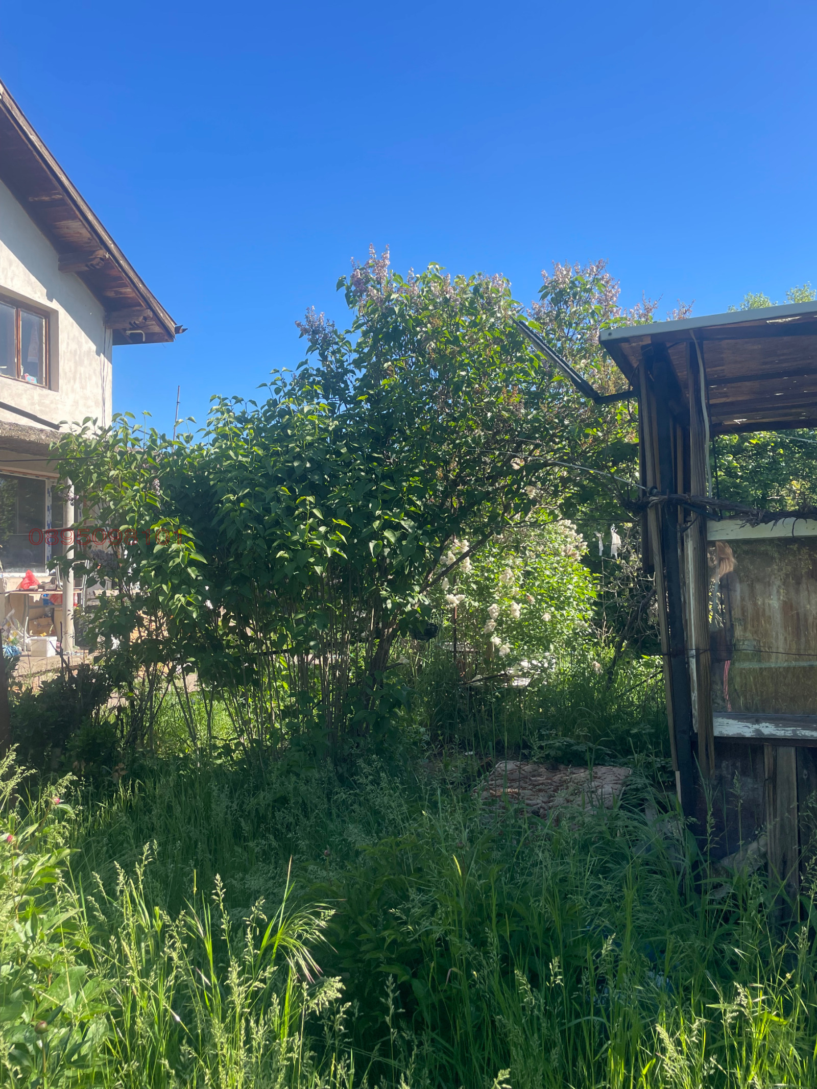 ������� ���� | Imot.bg � ����������� 17