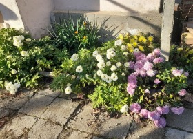 ������� ���� | Imot.bg � ����� ������ 15