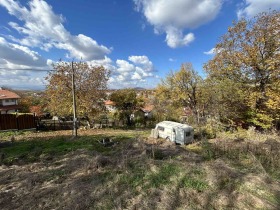 Grund Divotino, region Pernik 7