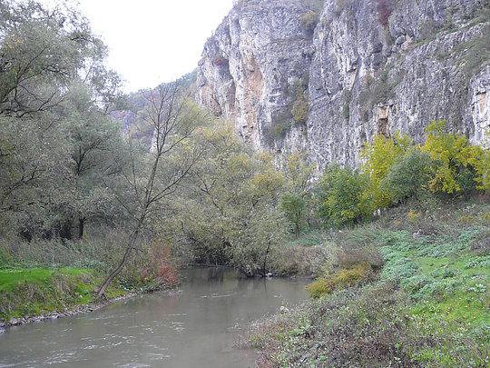 Продава КЪЩА, с. Кошов, област Русе, снимка 8 - Къщи - 52786171