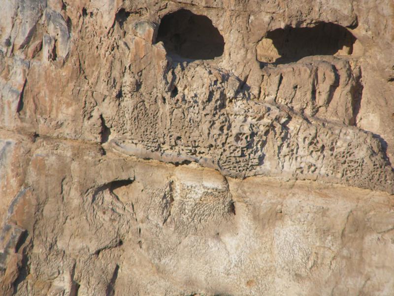 Продава КЪЩА, с. Кошов, област Русе, снимка 7 - Къщи - 52786171