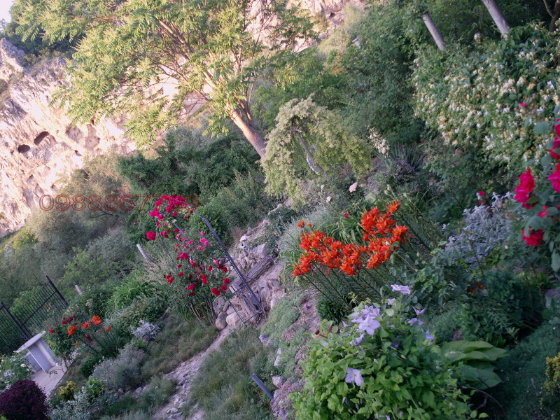 Продава КЪЩА, с. Кошов, област Русе, снимка 16 - Къщи - 52786171