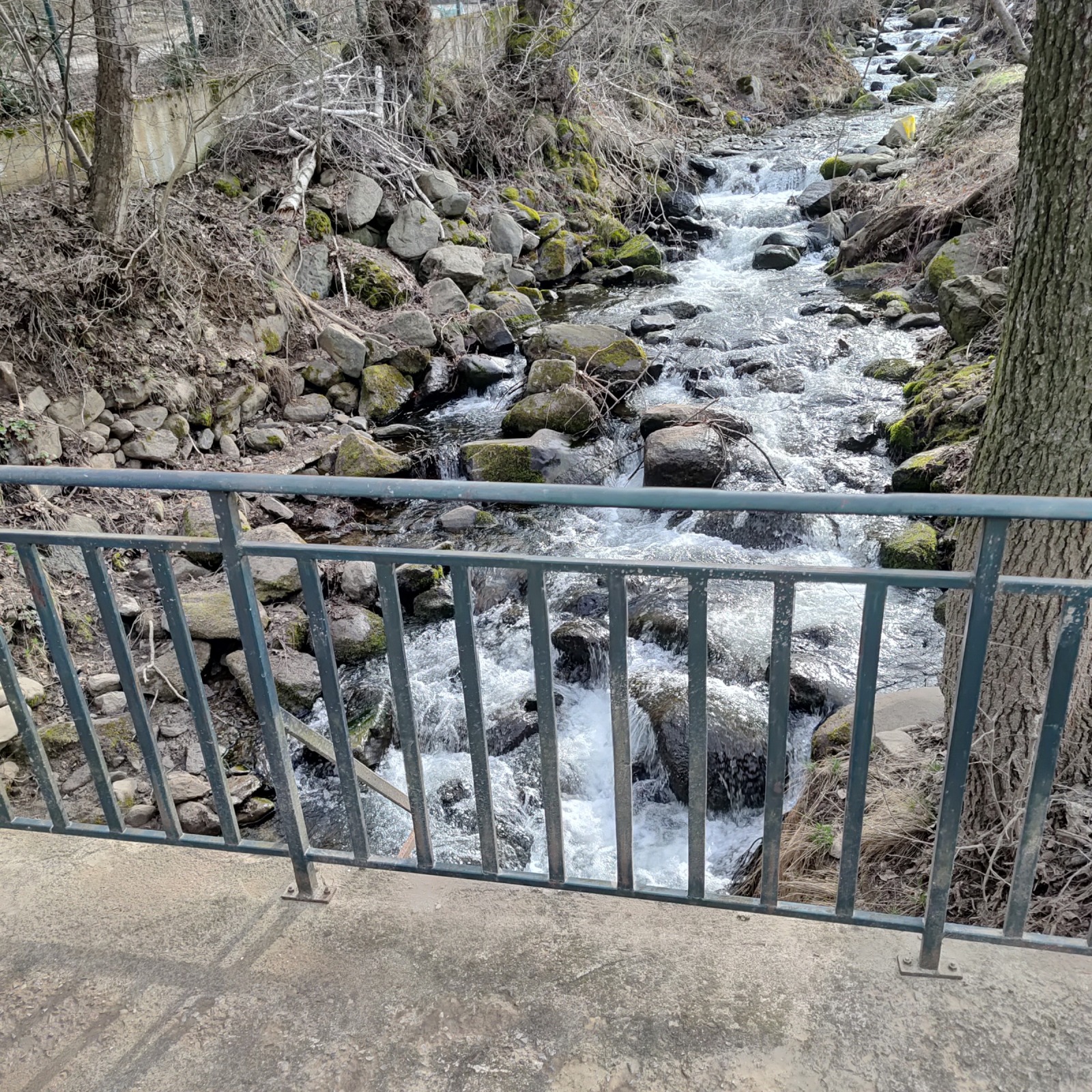 Продава КЪЩА, гр. София, с. Бистрица, снимка 2 - Къщи - 53732774