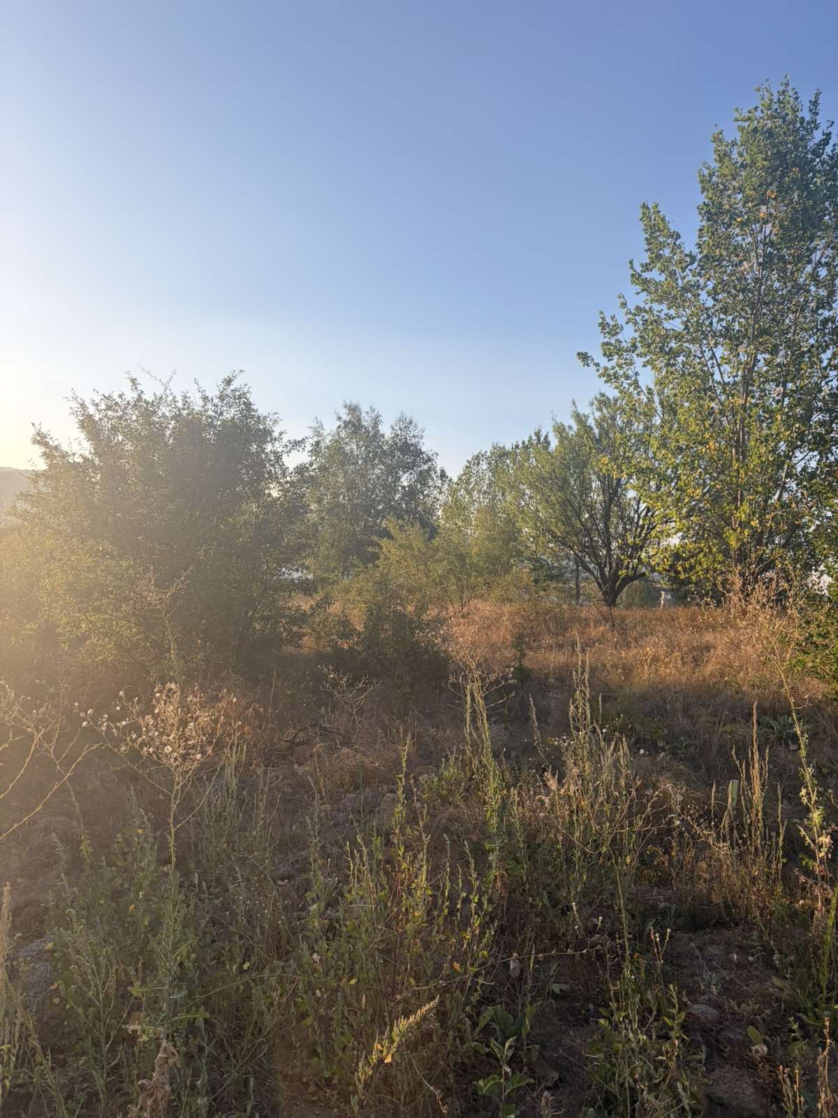 Продава ПАРЦЕЛ, с. Логодаж, област Благоевград, снимка 6 - Парцели - 55804692