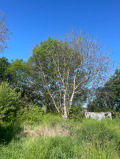 Продава КЪЩА, гр. София, с. Волуяк, снимка 16