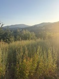 Продава ПАРЦЕЛ, с. Логодаж, област Благоевград, снимка 1