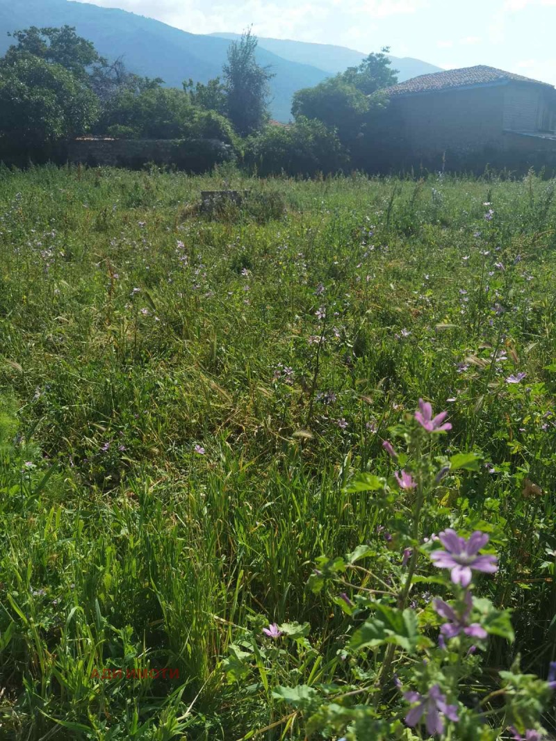 Προς πώληση  Οικόπεδο περιοχή Plovdiv , Ηγανοβο , 1200 τ.μ | 53496891 - εικόνα [2]