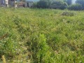 Продава ПАРЦЕЛ, област Пловдив, с. Иганово • 35000 лв. • 62364979 — Holmes.bg