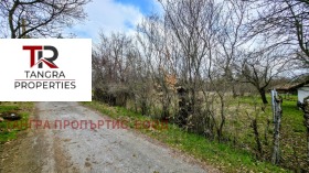 ����� ������� ������,�. ��������, ������ ������