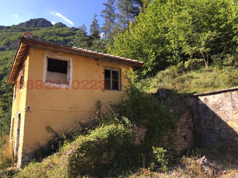 Продава БИЗНЕС ИМОТ, гр. Смолян, Средок, снимка 8 - Други - 54393225