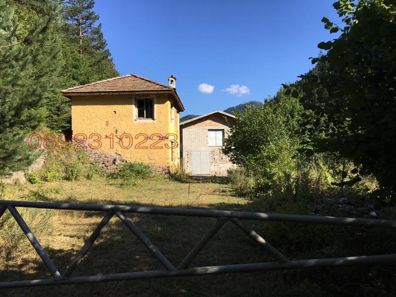 Продава БИЗНЕС ИМОТ, гр. Смолян, Средок, снимка 7 - Други - 54393225